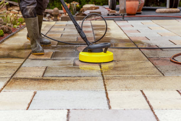 Best Playground Equipment Cleaning  in Romney, WV