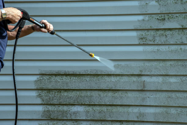 Boat and Dock Cleaning in Romney, WV